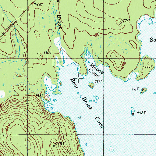 Topographic Map of Bear Brook, ME