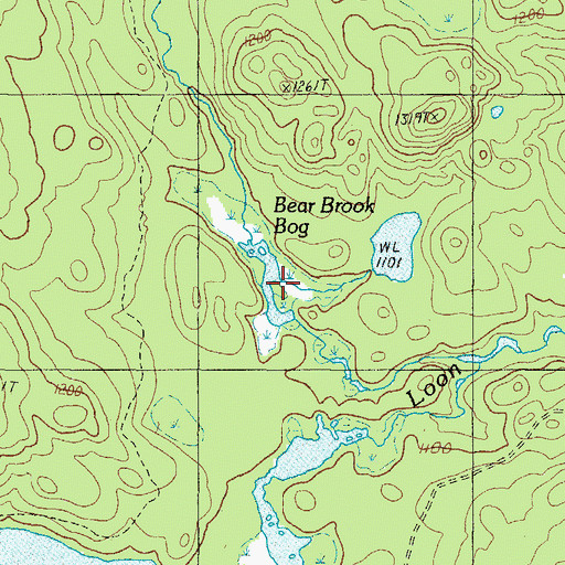 Topographic Map of Bear Brook Bog, ME