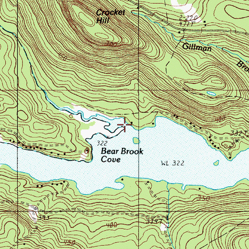 Topographic Map of Bear Brook Cove, ME