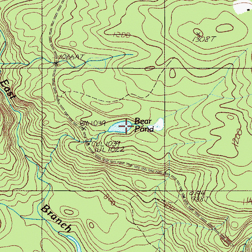 Topographic Map of Bear Pond, ME