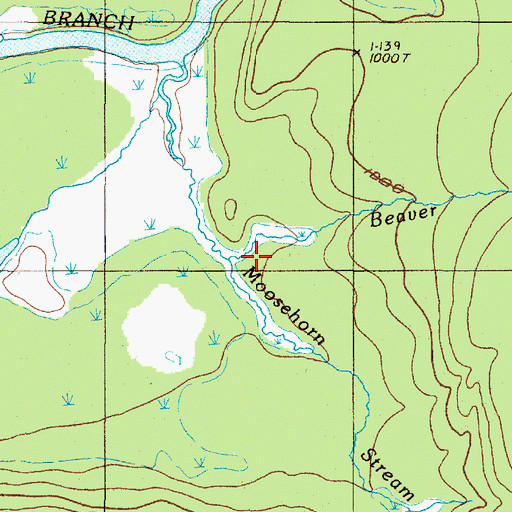 Topographic Map of Beaver Brook, ME