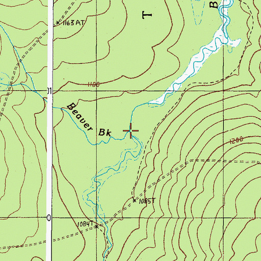 Topographic Map of Beaver Brook, ME