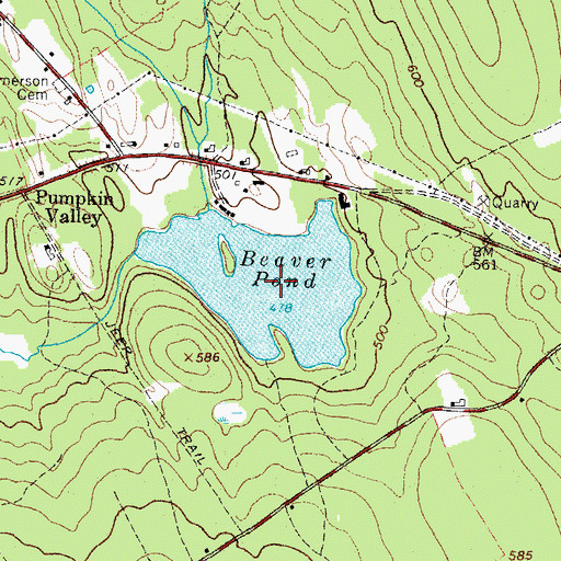 Topographic Map of Beaver Pond, ME