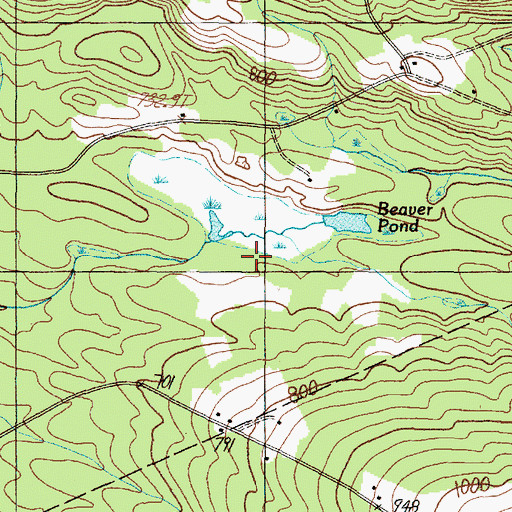 Topographic Map of Beaver Pond, ME