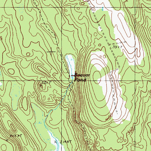 Topographic Map of Beaver Pond, ME