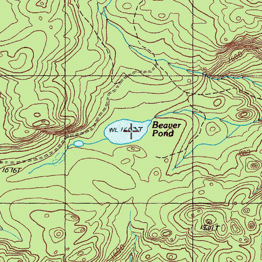 Topographic Map of Beaver Pond, ME