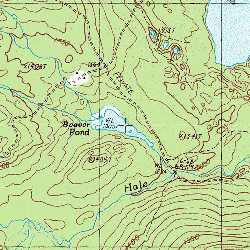 Topographic Map of Beaver Pond, ME