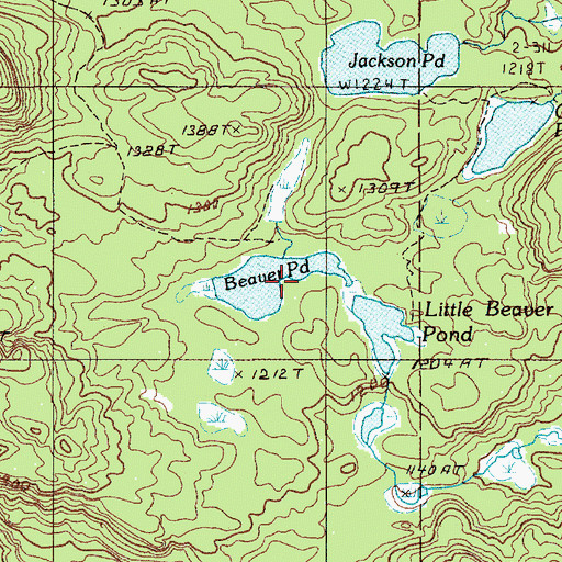 Topographic Map of Beaver Pond, ME