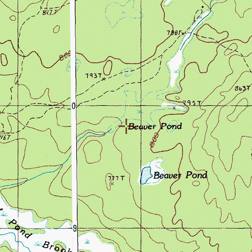 Topographic Map of Beaver Pond, ME
