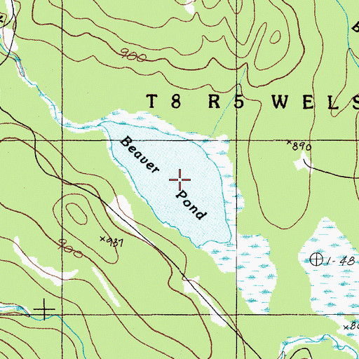 Topographic Map of Beaver Pond, ME