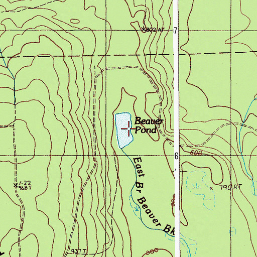 Topographic Map of Beaver Pond, ME