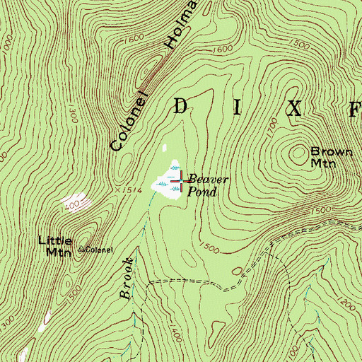 Topographic Map of Beaver Pond, ME