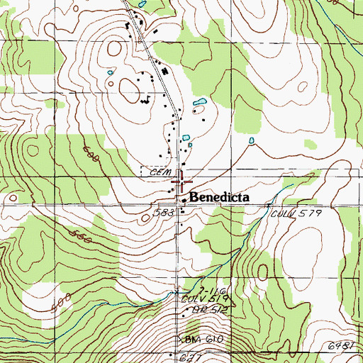 Topographic Map of Benedicta, ME