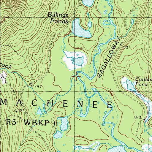 Topographic Map of Bereau Brook, ME