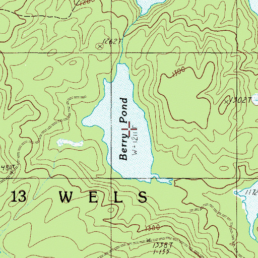 Topographic Map of Berry Pond, ME