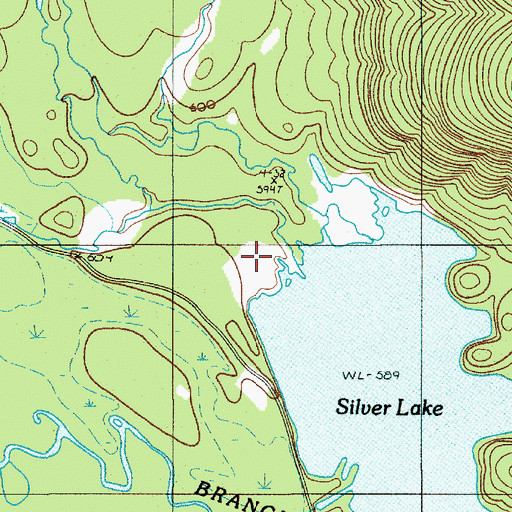 Topographic Map of Big White Brook, ME