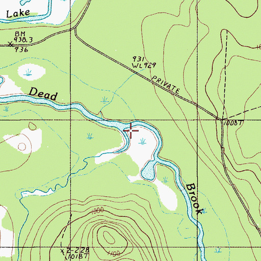 Topographic Map of Billings Brook, ME