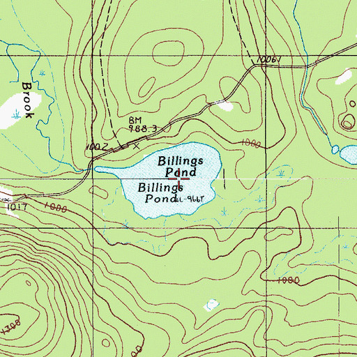 Topographic Map of Billings Pond, ME
