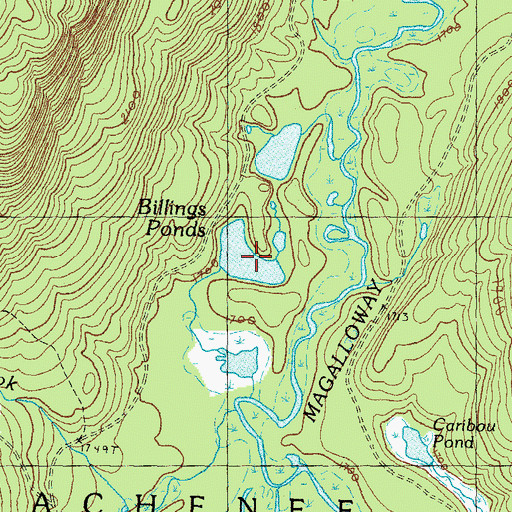 Topographic Map of Billings Ponds, ME