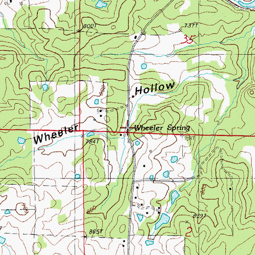 Topographic Map of Wheeler Spring, AR