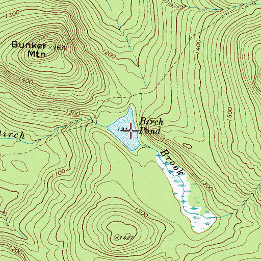 Topographic Map of Birch Pond, ME