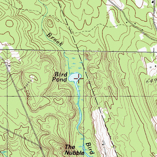 Topographic Map of Bird Pond, ME
