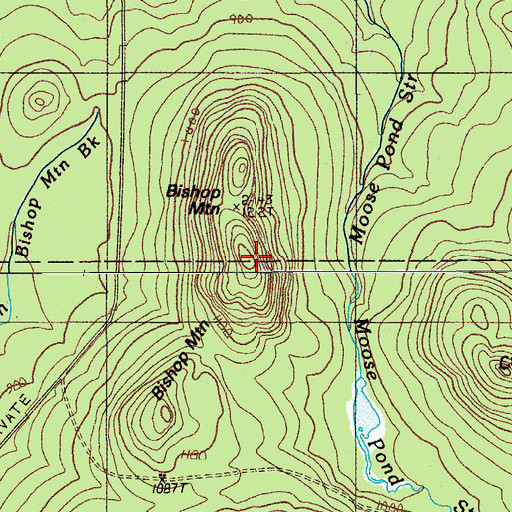 Topographic Map of Bishop Mountain, ME