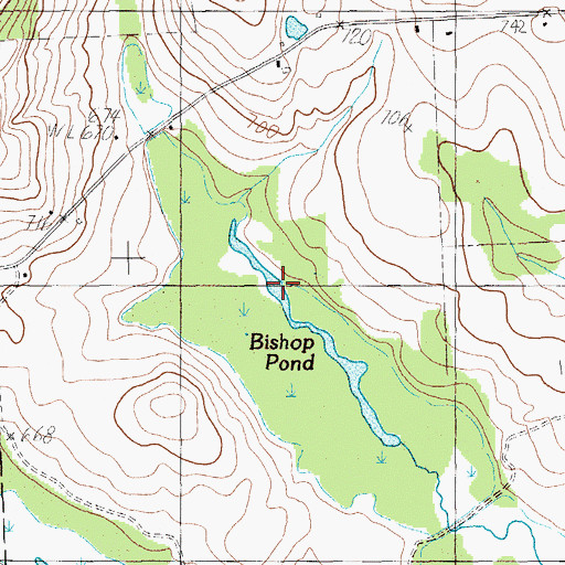 Topographic Map of Bishop Pond, ME