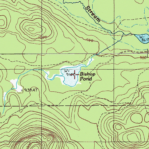 Topographic Map of Bishop Pond, ME