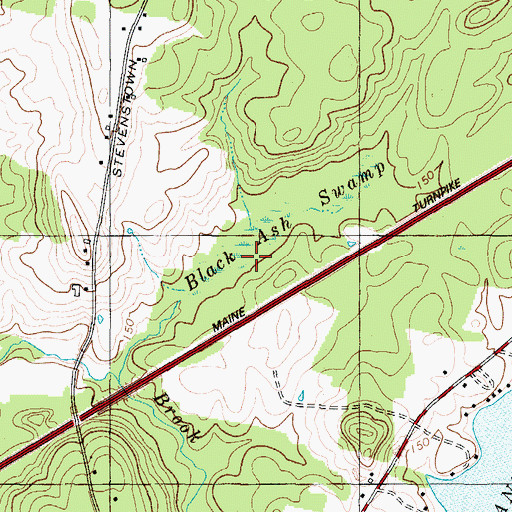 Topographic Map of Black Ash Swamp, ME