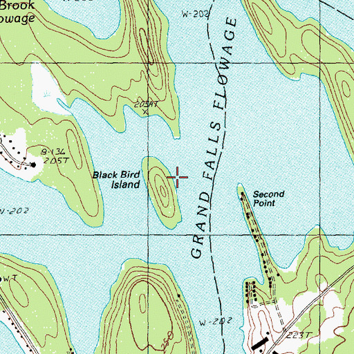 Topographic Map of Black Bird Island, ME
