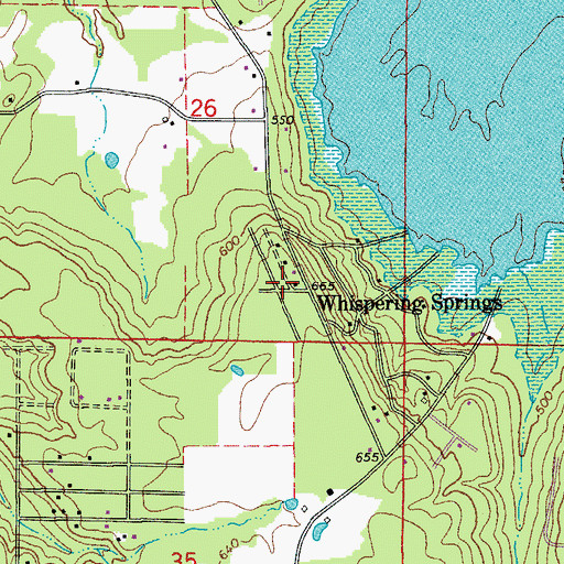 Topographic Map of Whispering Springs, AR