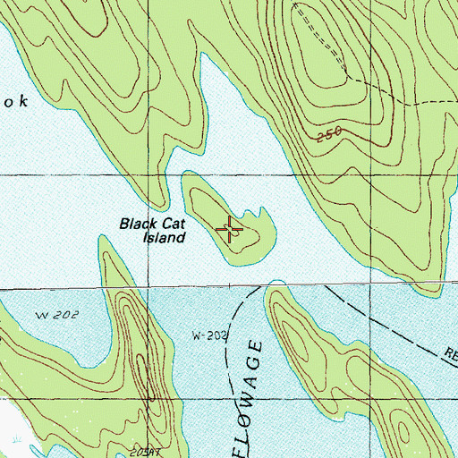 Topographic Map of Black Cat Island, ME