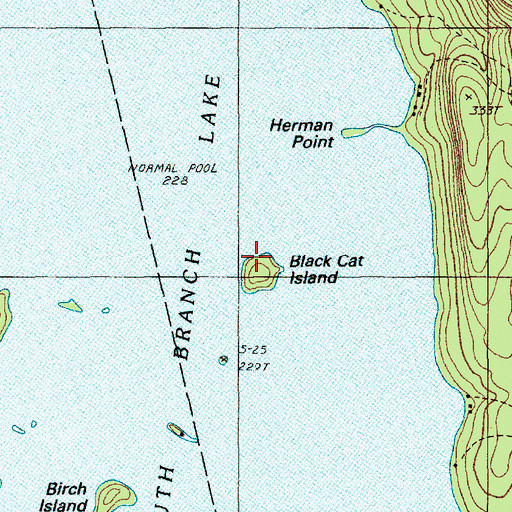 Topographic Map of Black Cat Island, ME