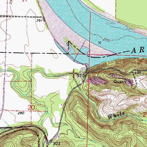 Topographic Map of White Branch, AR