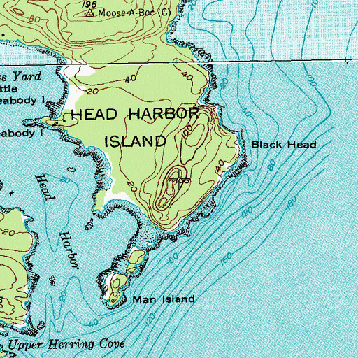 Topographic Map of Black Head, ME