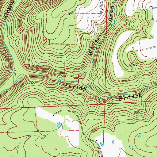Topographic Map of White Branch, AR
