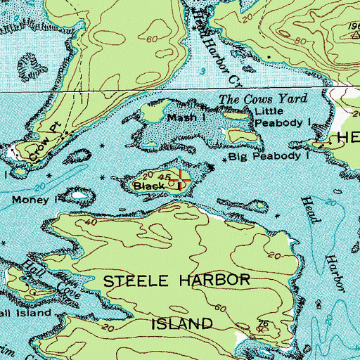 Topographic Map of Black Island, ME