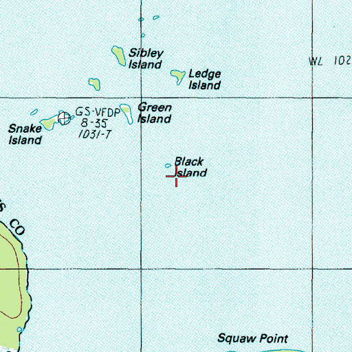 Topographic Map of Black Island, ME