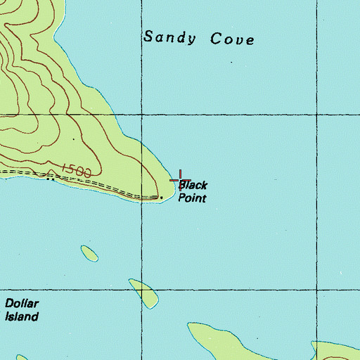 Topographic Map of Black Point, ME