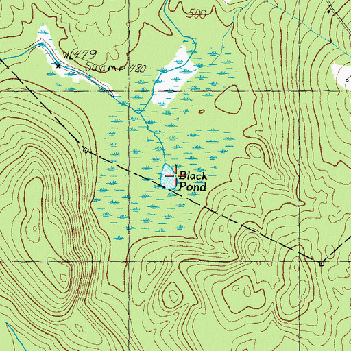 Topographic Map of Black Pond, ME