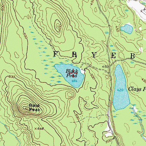 Topographic Map of Black Pond, ME
