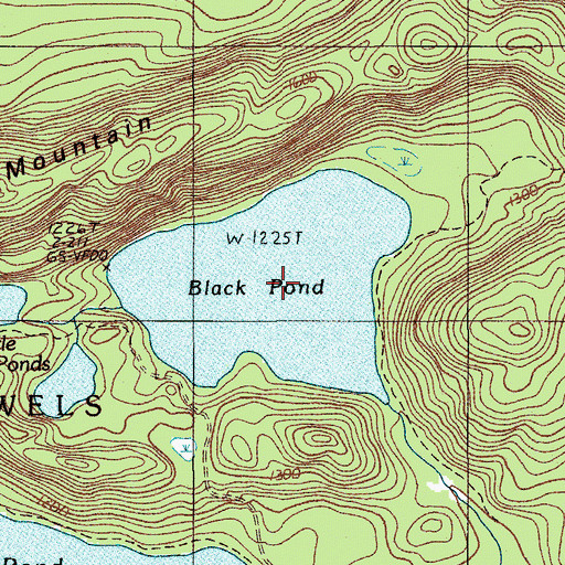 Topographic Map of Black Pond, ME
