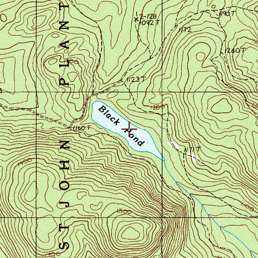 Topographic Map of Black Pond, ME