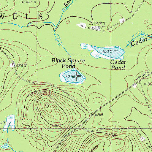 Topographic Map of Black Spruce Pond, ME