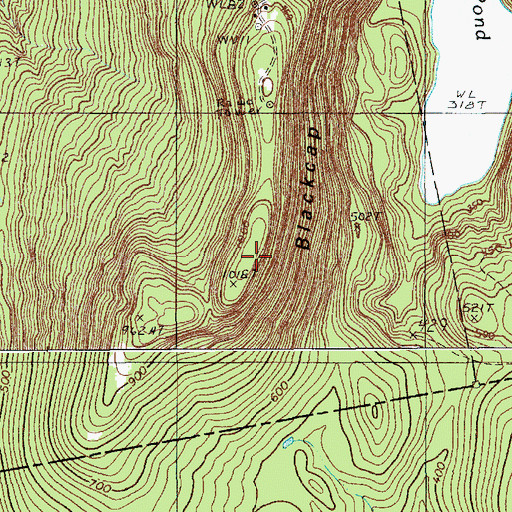 Topographic Map of Blackcap, ME