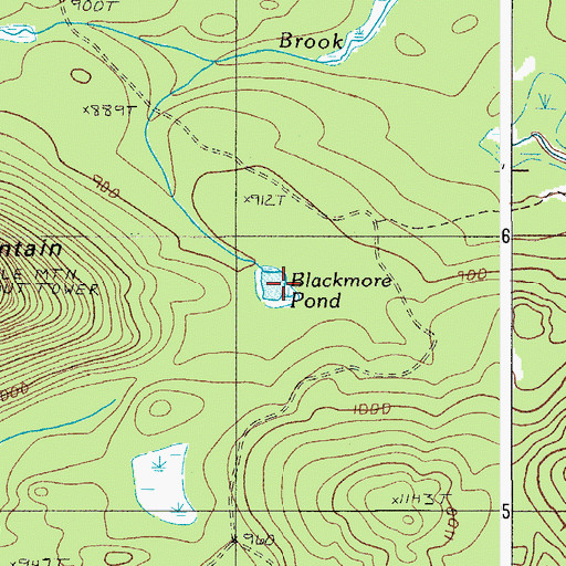 Topographic Map of Blackmore Pond, ME
