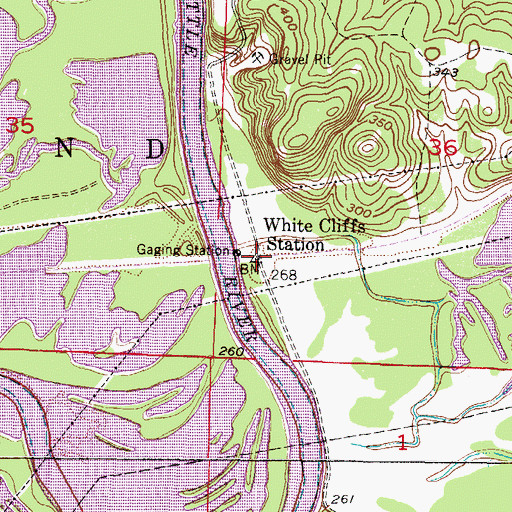 Topographic Map of White Cliffs Station, AR