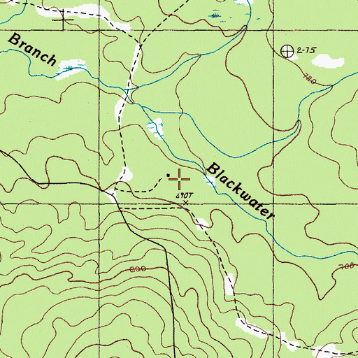 Topographic Map of Bliss Camp, ME