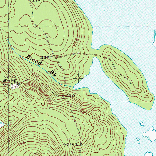Topographic Map of Blood Brook, ME